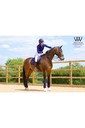 Woof Wear Vision Dressage Pad - Navy